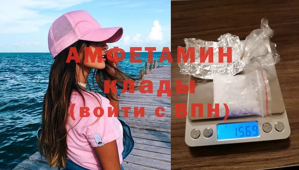 прущие грибы Белая Холуница