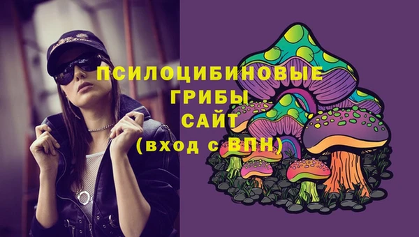 прущая мука Алзамай