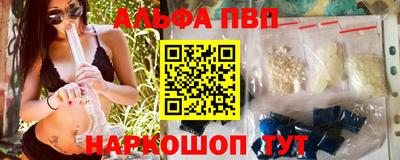 тгк Кингисепп
