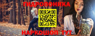 гашик Кимры