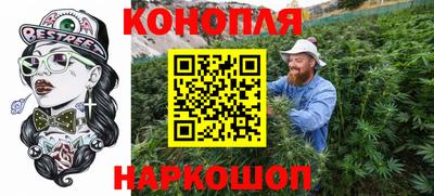 тгк Кингисепп