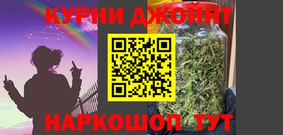 тгк Кингисепп