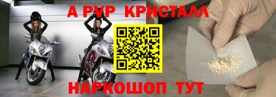 тгк Кингисепп