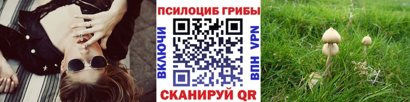 Галлюциногенные грибы мицелий  где купить наркоту  blacksprut сайт  Крымск 