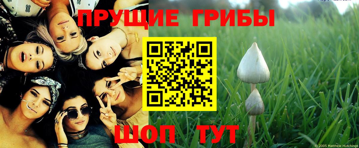 Крымск  Псилоцибиновые грибы MAGIC MUSHROOMS  Псилоцибиновые грибы Psilocybine cubensis  Вход с VPN 
